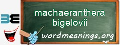 WordMeaning blackboard for machaeranthera bigelovii